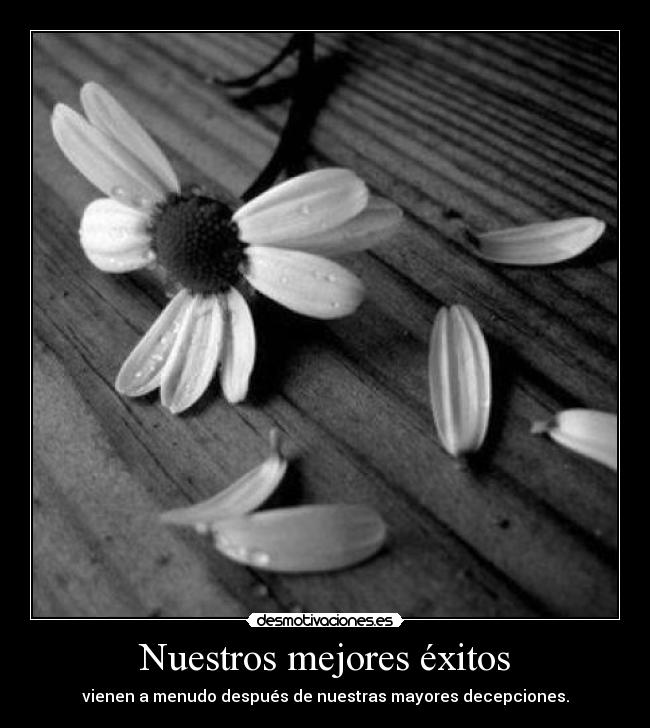 carteles exitos mejores peores decepciones desmotivaciones