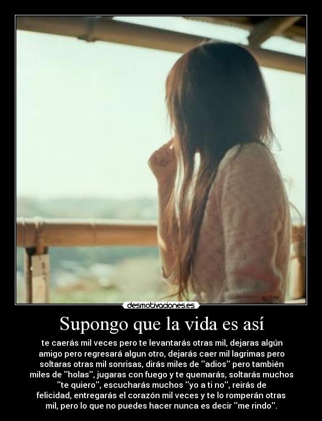Supongo que la vida es así - 