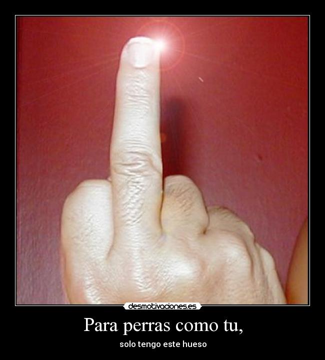 Para perras como tu, -