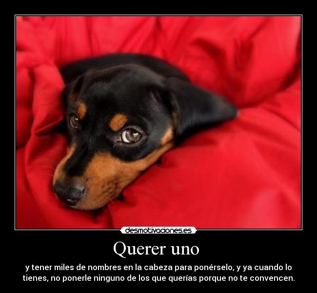 carteles querer uno desmotivaciones