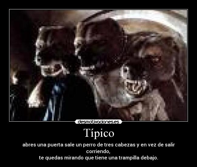 Típico -