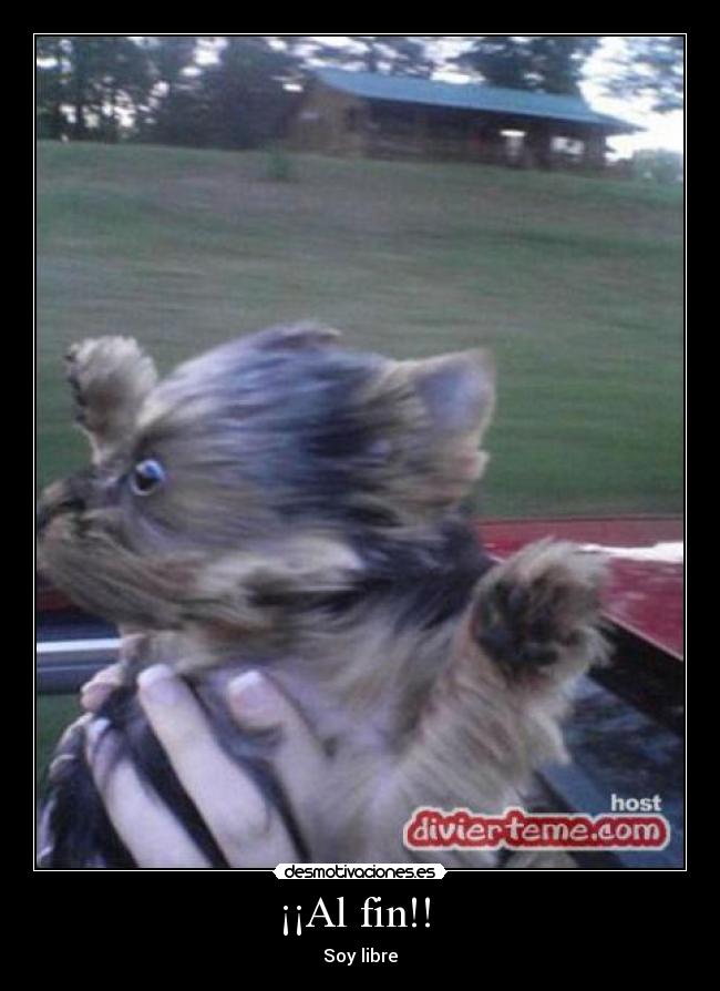 ¡¡Al fin!! - Soy libre