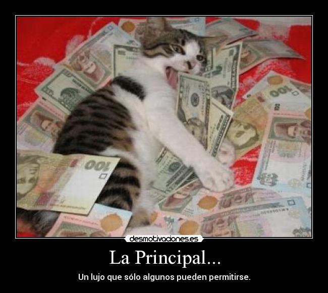 La Principal... - 