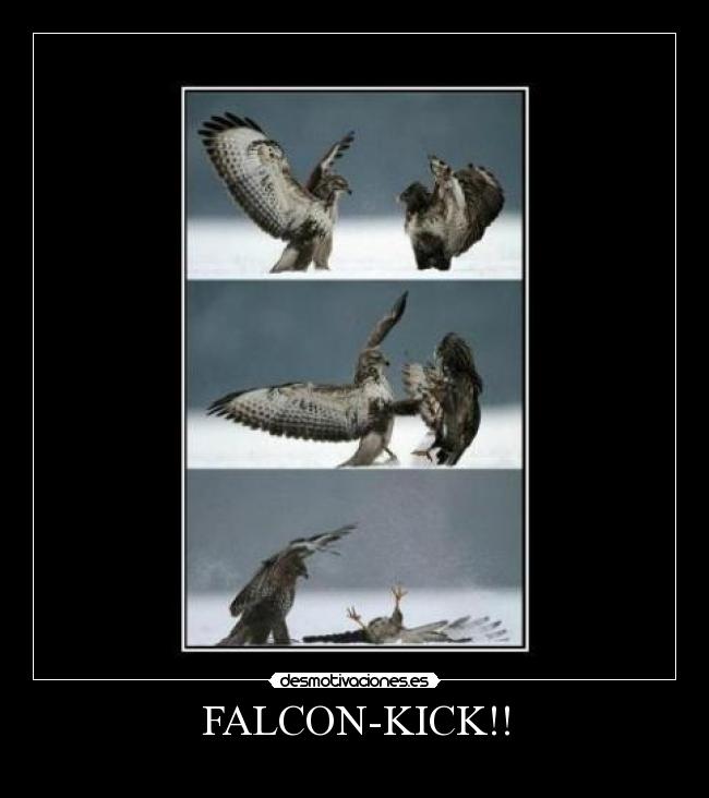 FALCON-KICK!! - 