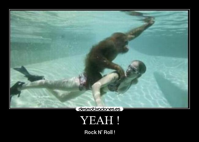 YEAH ! - Rock N Roll !