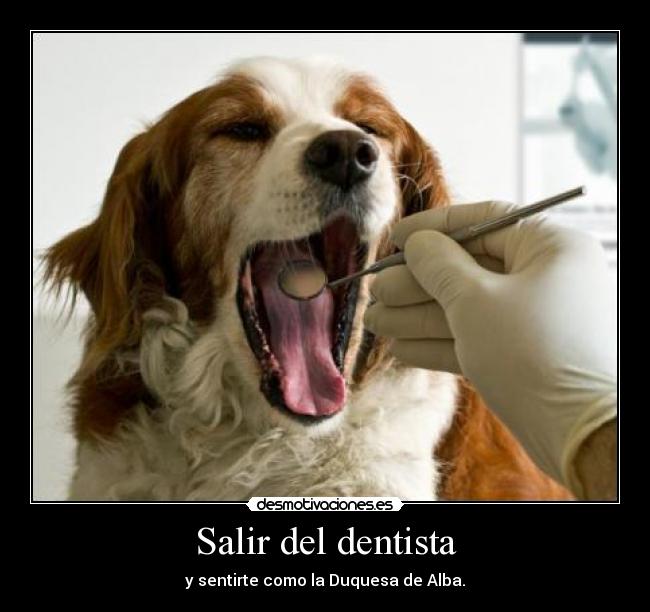 Salir del dentista - 