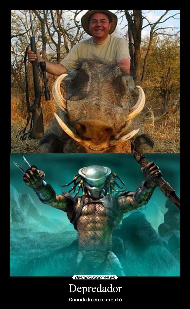 carteles ferminelfiero desmotivaciones