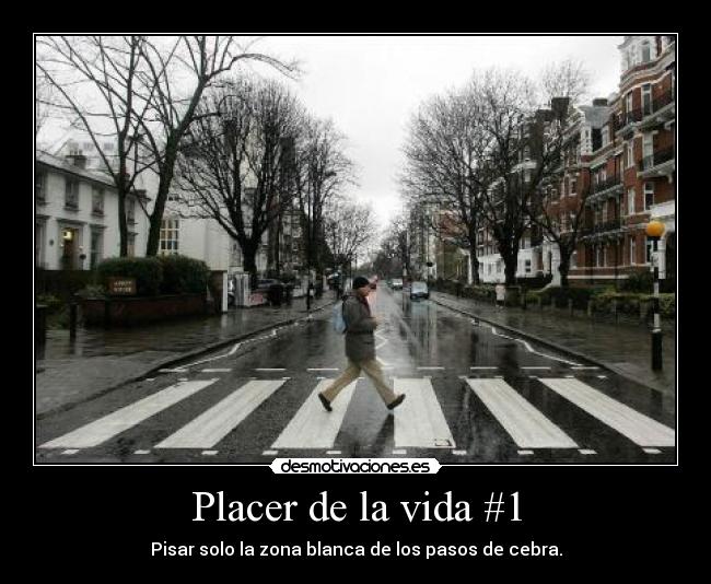 Placer de la vida #1 -