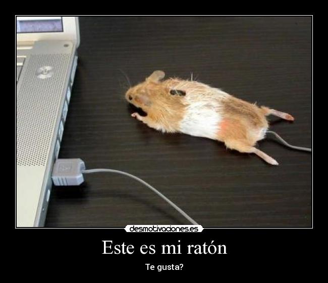 Este es mi ratón - 