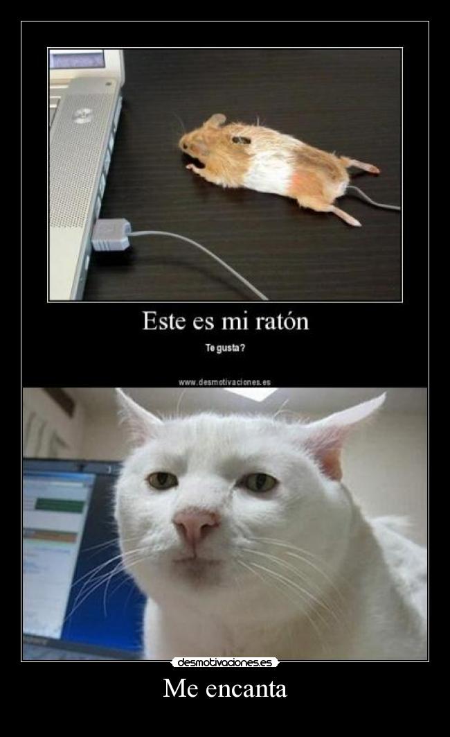 carteles encanta walt_k humor fofito desmotivaciones