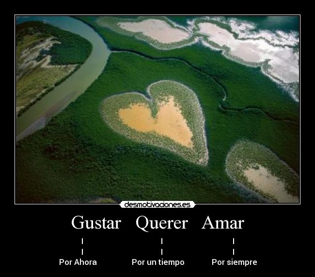 Gustar Querer Amar -