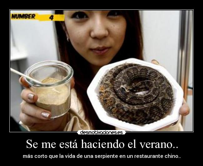 Se me está haciendo el verano.. - más corto que la vida de una serpiente en un restaurante chino..