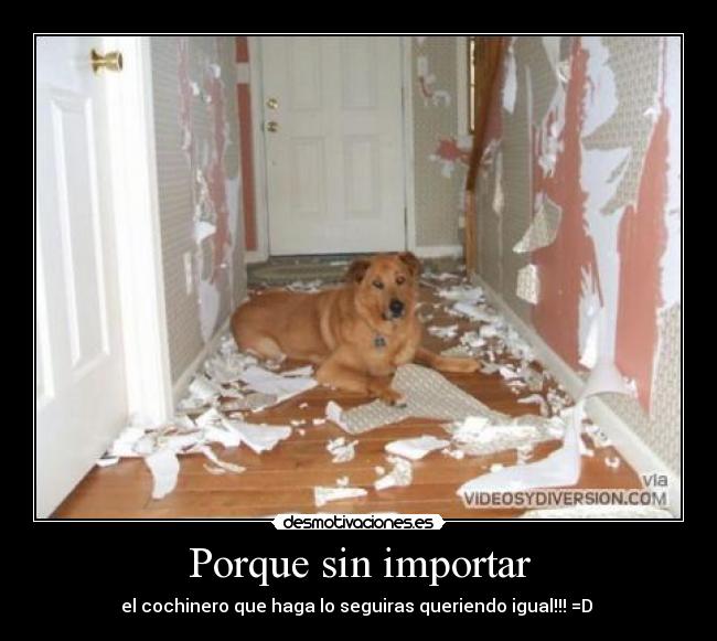 Porque sin importar -