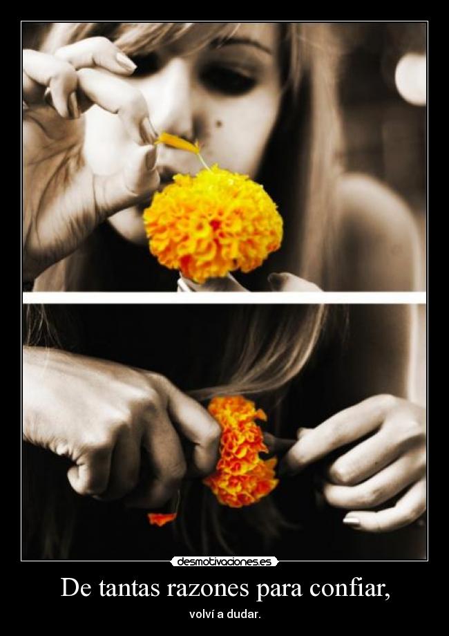 De tantas razones para confiar, - 