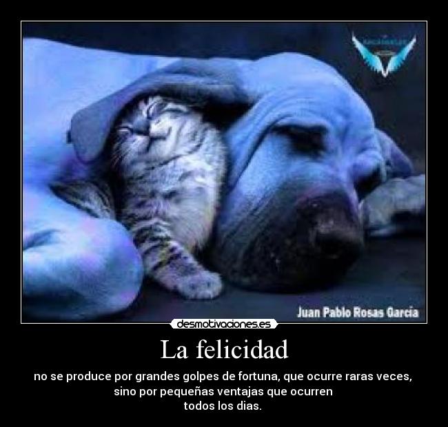 La felicidad - no se produce por grandes golpes de fortuna, que ocurre raras veces, 
sino por pequeñas ventajas que ocurren 
todos los dias. 