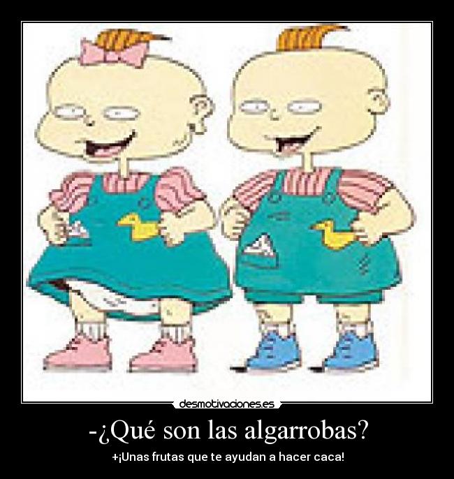 -¿Qué son las algarrobas? - +¡Unas frutas que te ayudan a hacer caca!