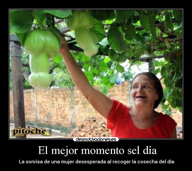 El mejor momento sel día -