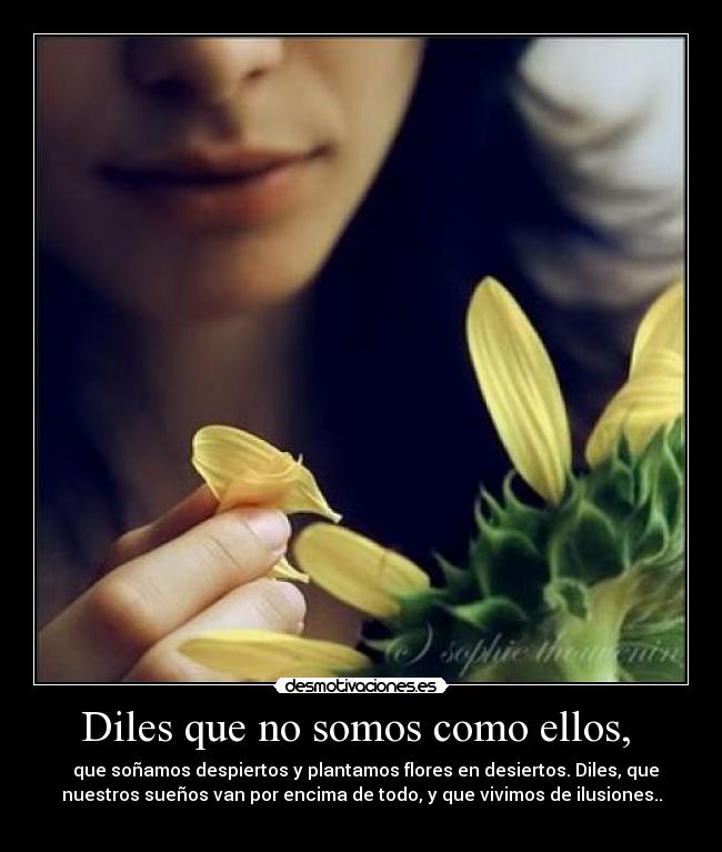 Diles que no somos como ellos,  - 