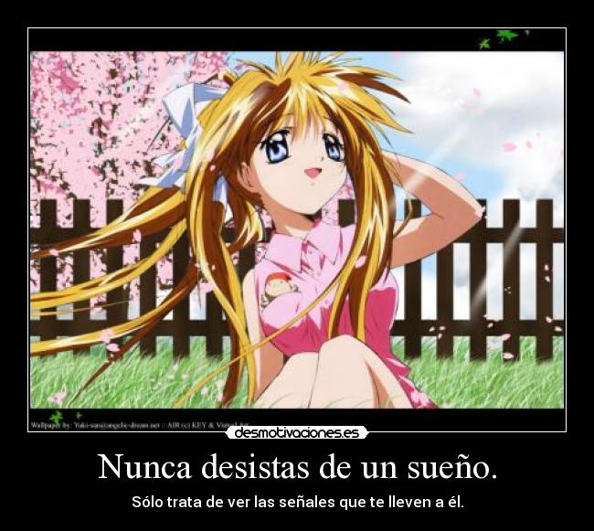 Nunca desistas de un sueño. - 