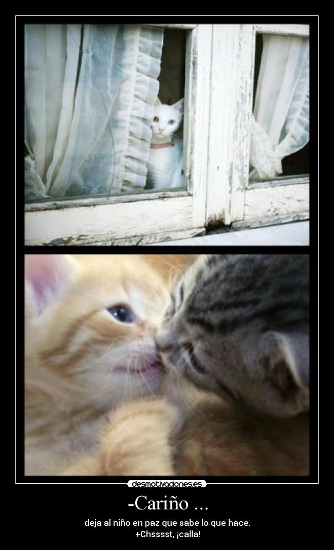 -Cariño ... -
