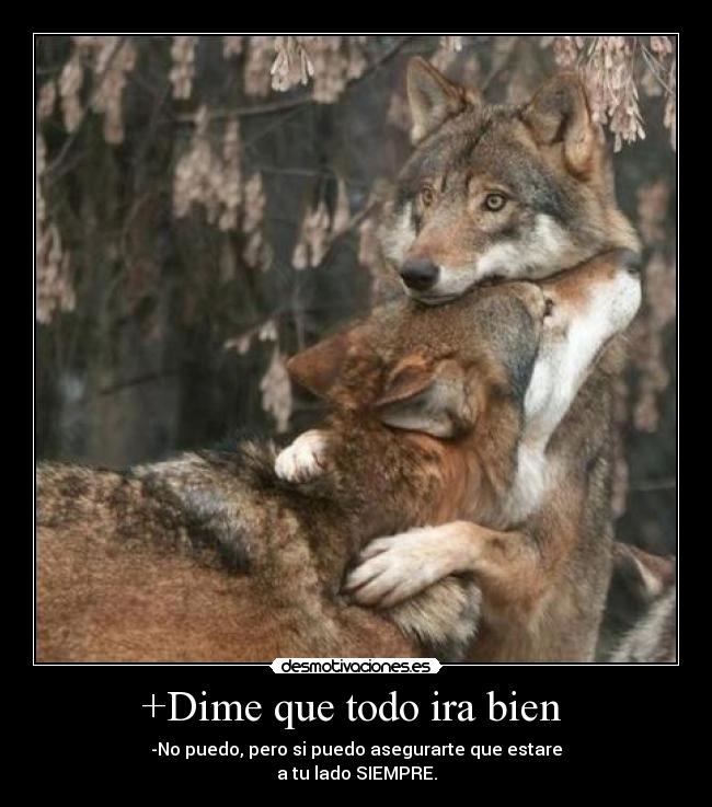 +Dime que todo ira bien  - -No puedo, pero si puedo asegurarte que estare
a tu lado SIEMPRE.