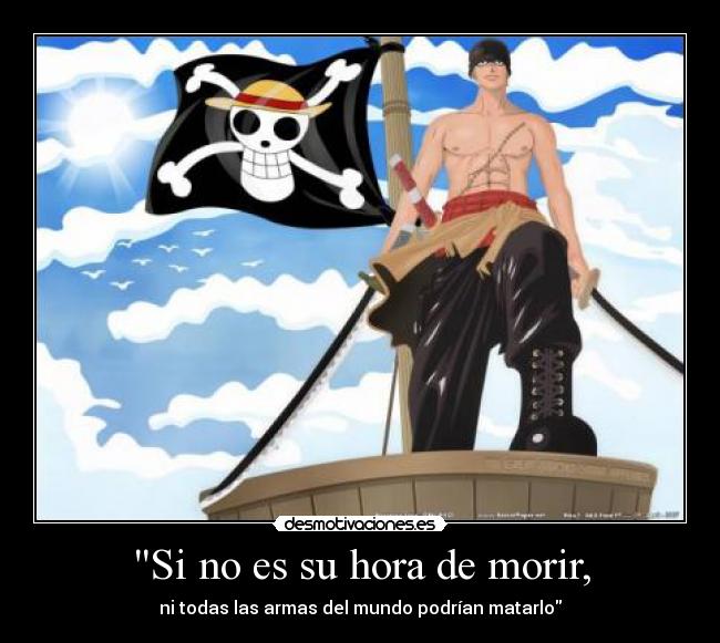 carteles gato desmotivaciones