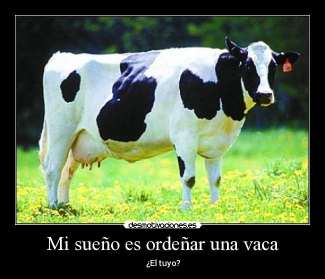 Mi sueño es ordeñar una vaca -