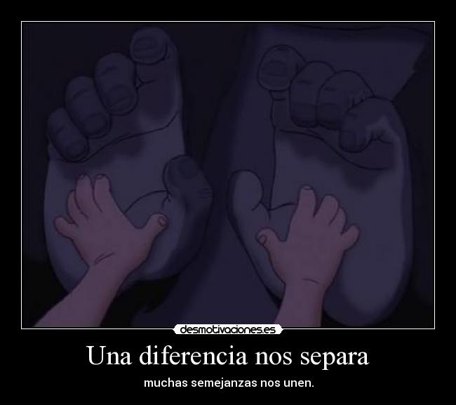 Una diferencia nos separa - 