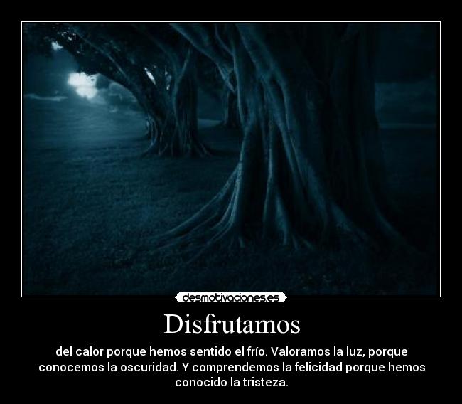 Disfrutamos - 