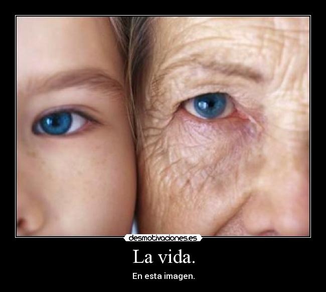 La vida. -