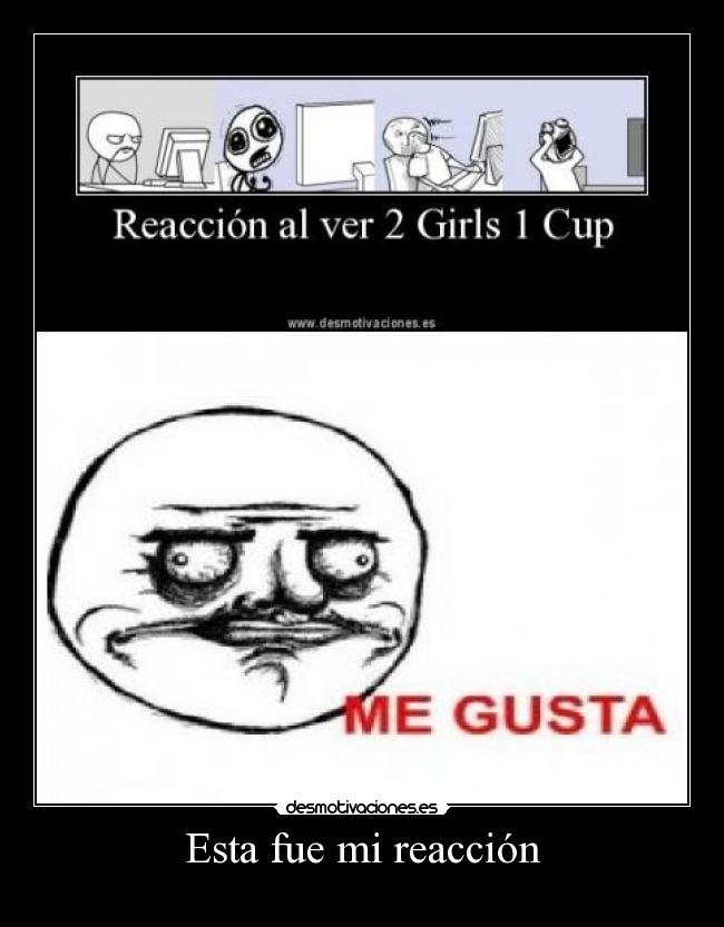 Esta fue mi reacción - 