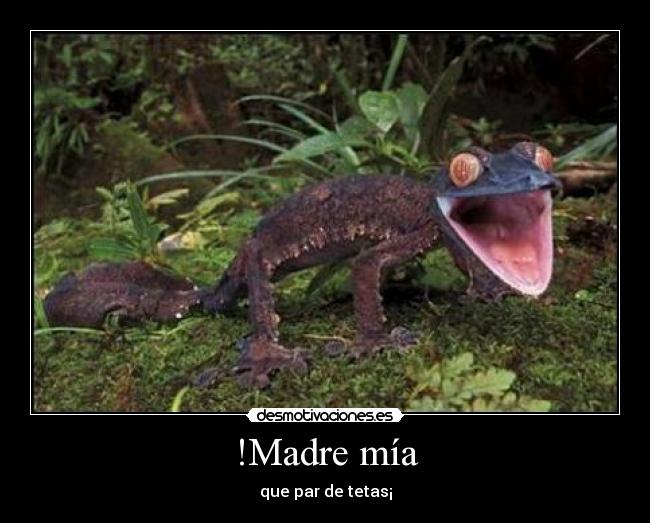 !Madre mía - que par de tetas¡