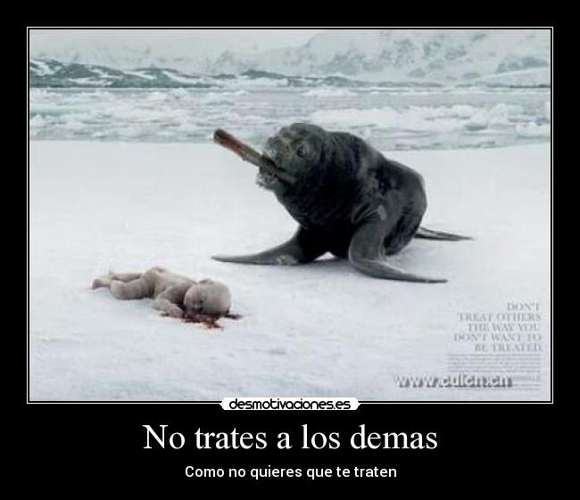 No trates a los demas - Como no quieres que te traten