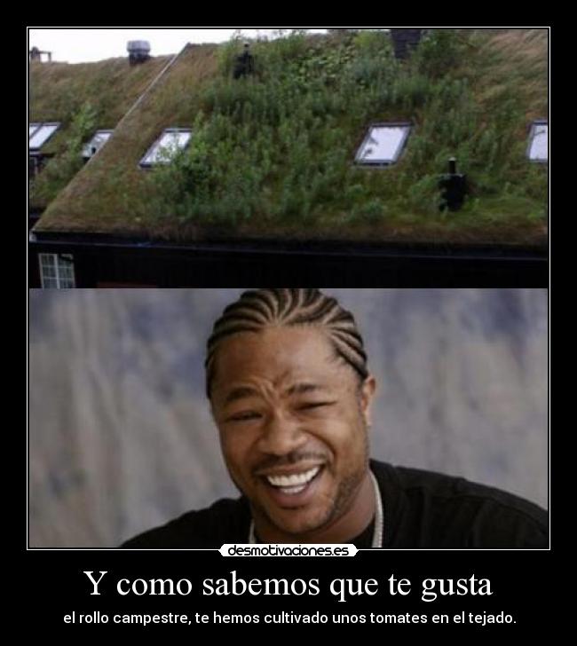 Y como sabemos que te gusta -