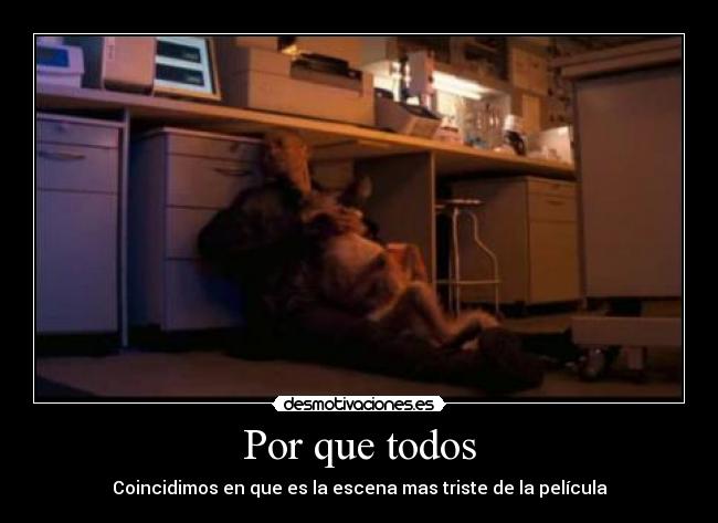 Por que todos -
