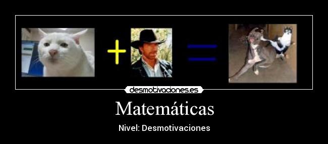 Matemáticas - Nivel: Desmotivaciones