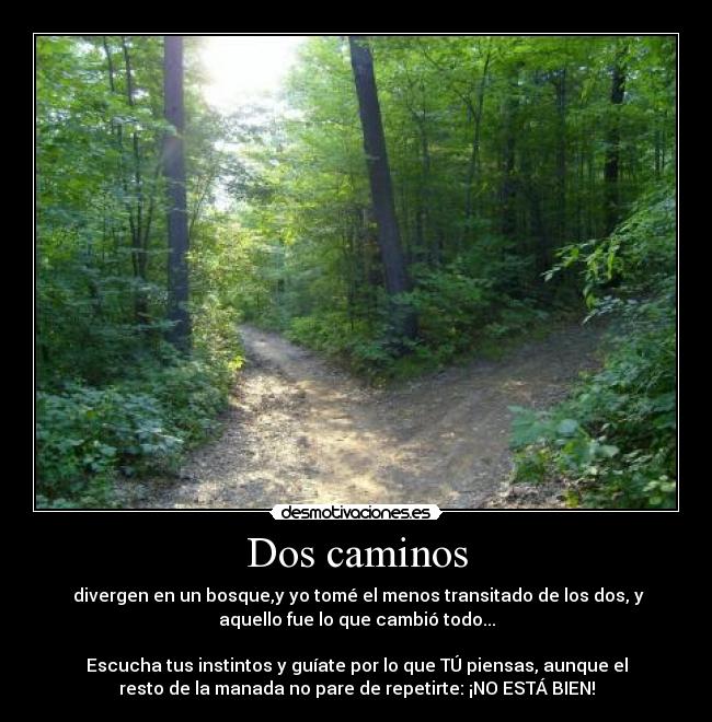 Dos caminos - 