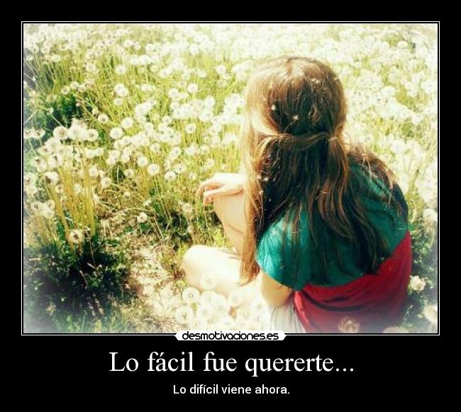 Lo fácil fue quererte... -
