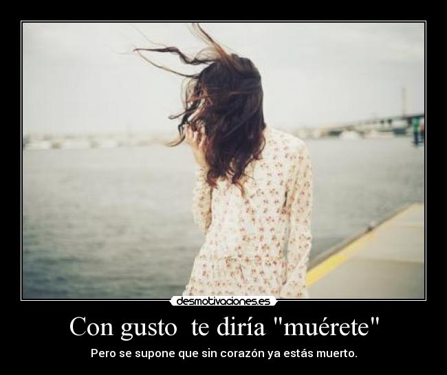 carteles missdesmotivaciones desmotivaciones