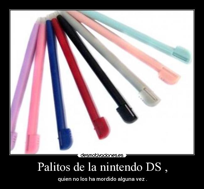 Palitos de la nintendo DS , - quien no los ha mordido alguna vez .