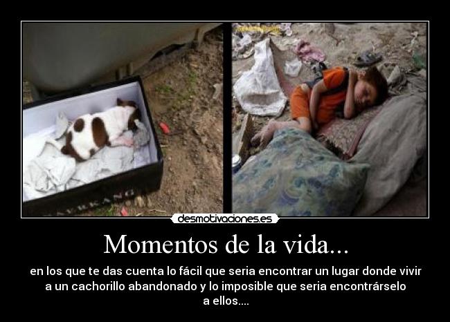 Momentos de la vida... -