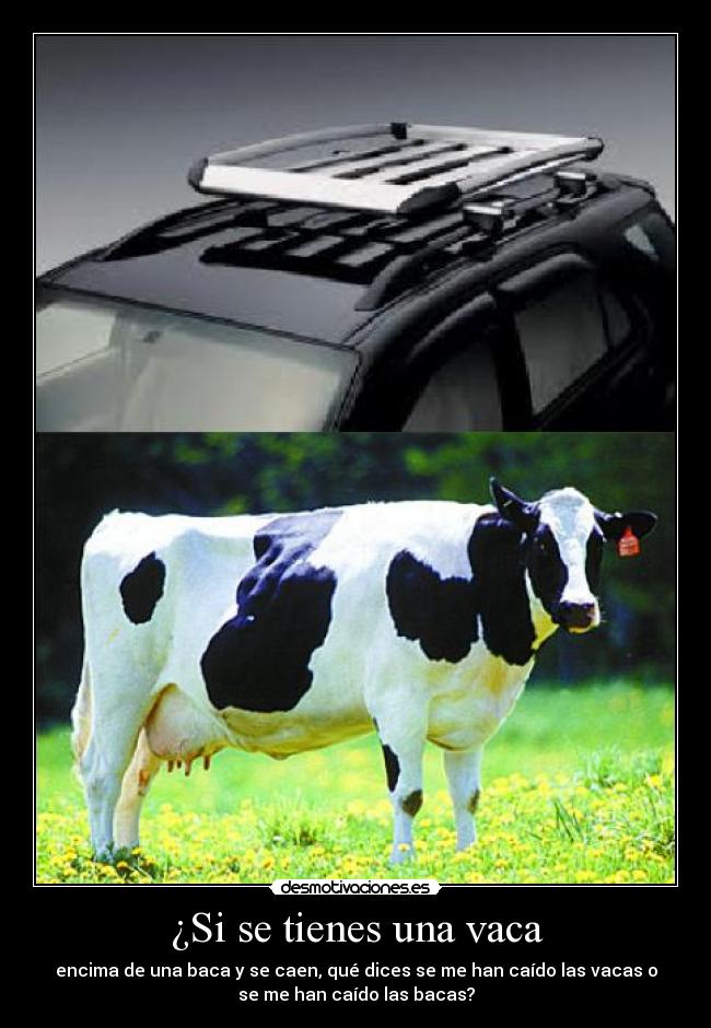 ¿Si se tienes una vaca - 