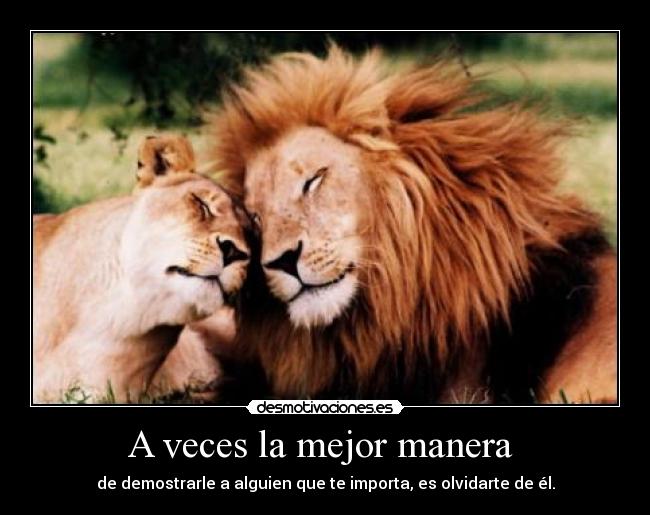 A veces la mejor manera -