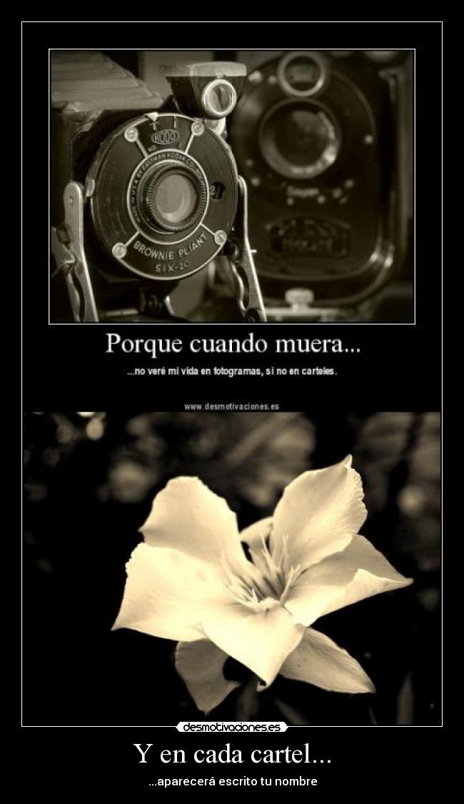 Y en cada cartel... - ...aparecerá escrito tu nombre