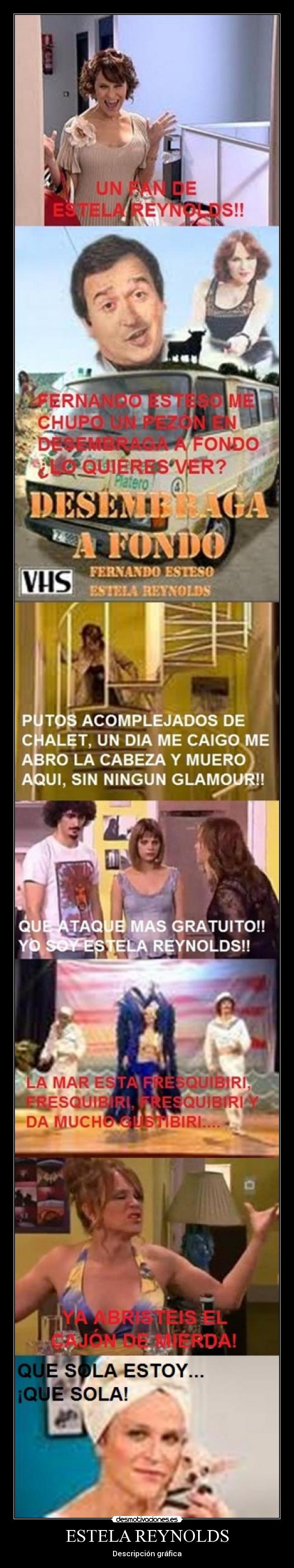 ESTELA REYNOLDS -