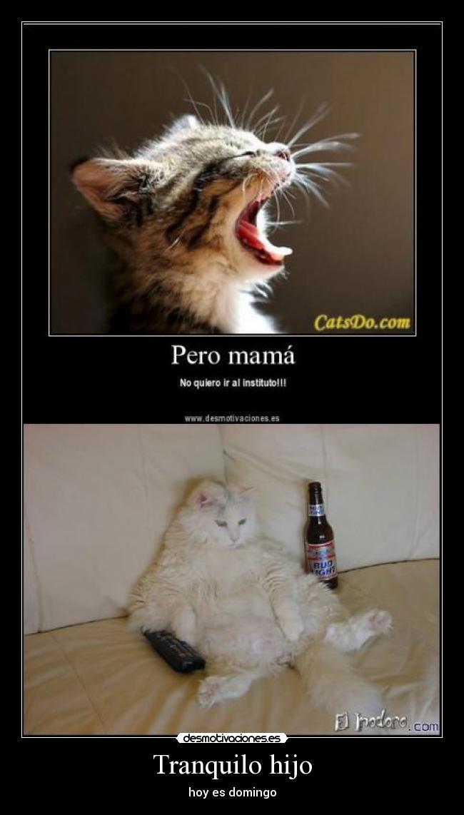 Tranquilo hijo - hoy es domingo