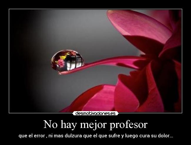 No hay mejor profesor -