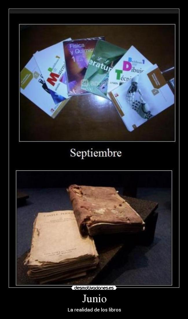 Junio - La realidad de los libros