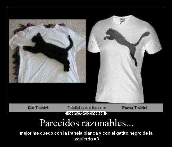 Parecidos razonables... - mejor me quedo con la franela blanca y con el gatito negro de la izquierda =3