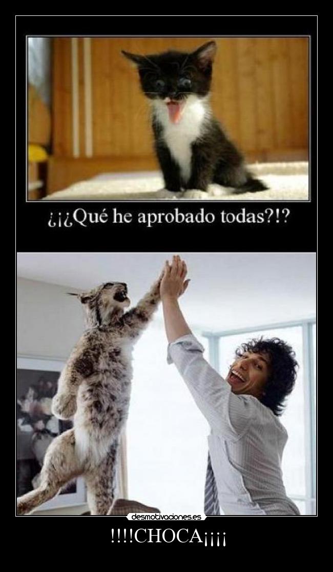 !!!!CHOCA¡¡¡¡ -